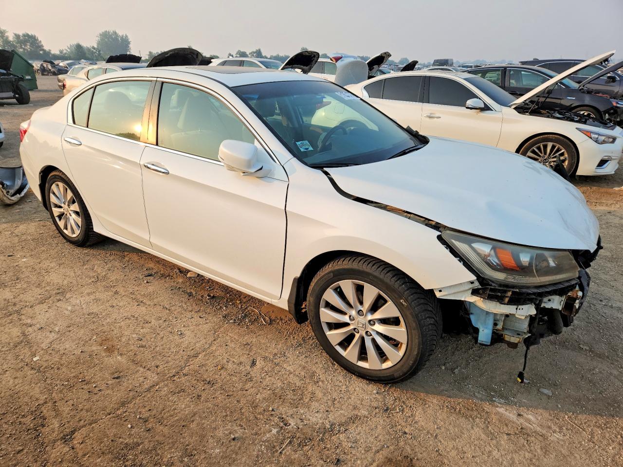 2013 Honda Accord Ex Белый vin: 1HGCR2F7XDA031177