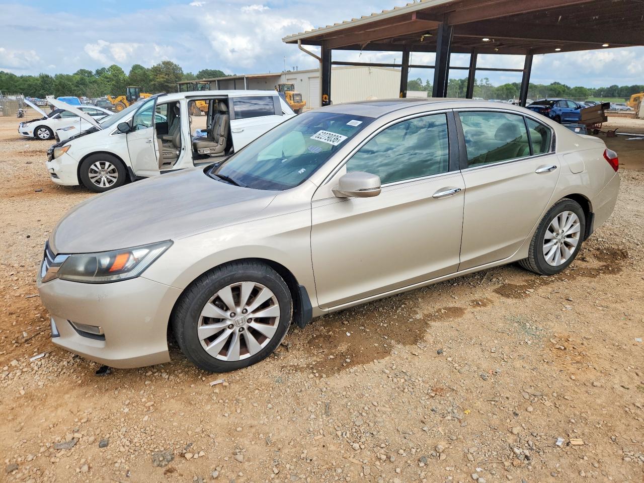 2013 Honda Accord Exl Золотой vin: 1HGCR2F80DA097469