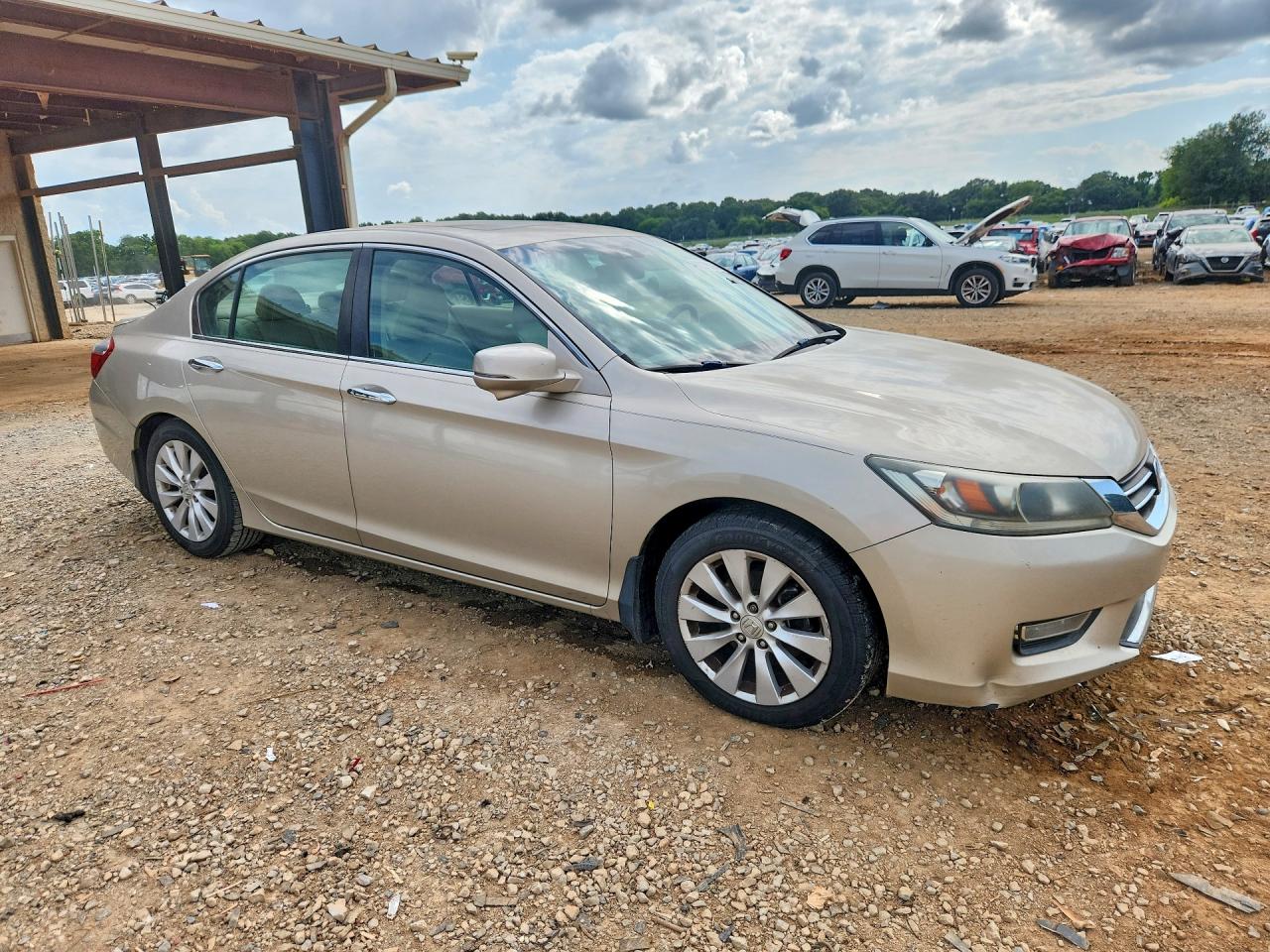2013 Honda Accord Exl Gold vin: 1HGCR2F80DA097469