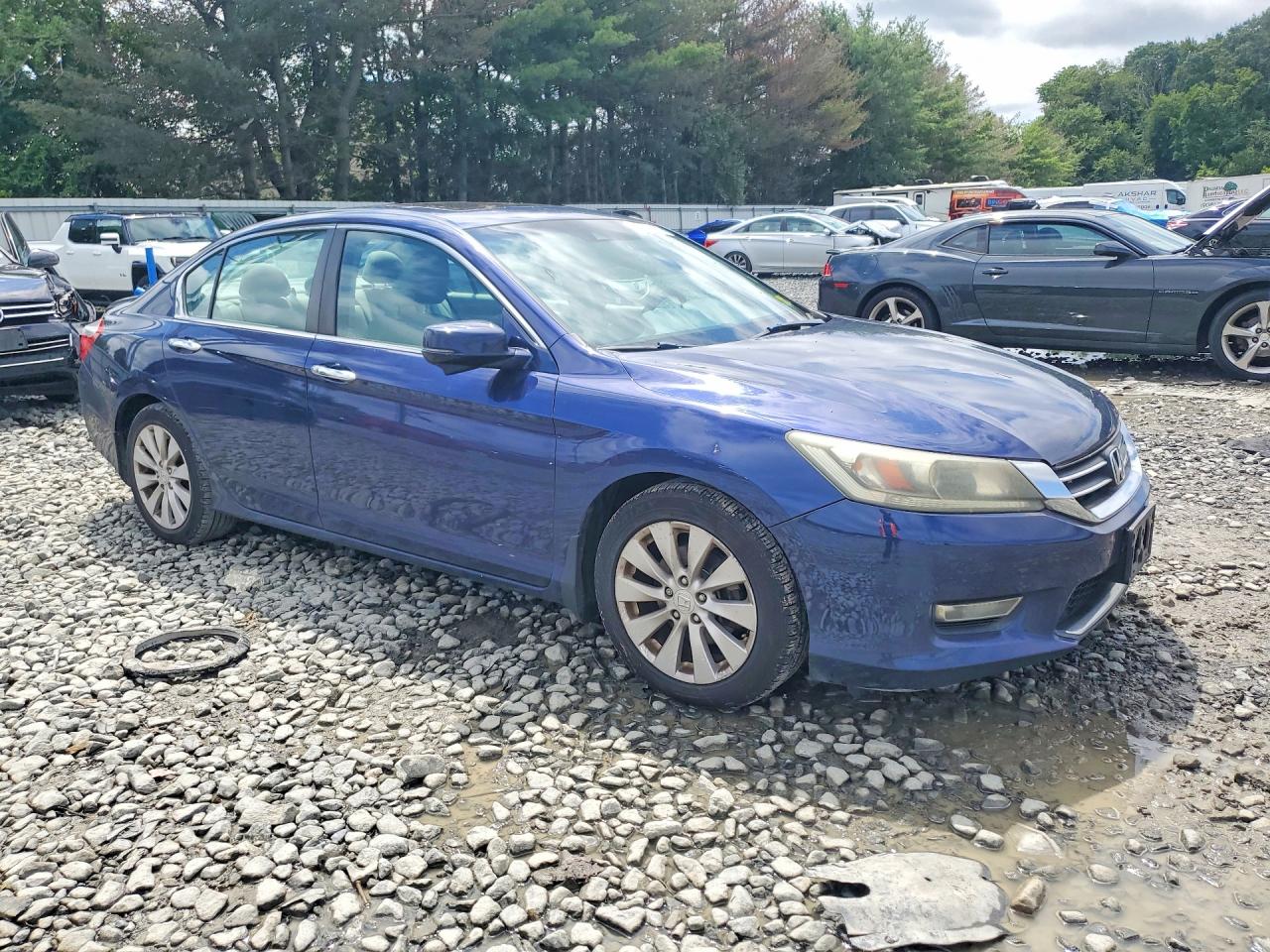 2013 Honda Accord Exl Blue vin: 1HGCR2F80DA150834