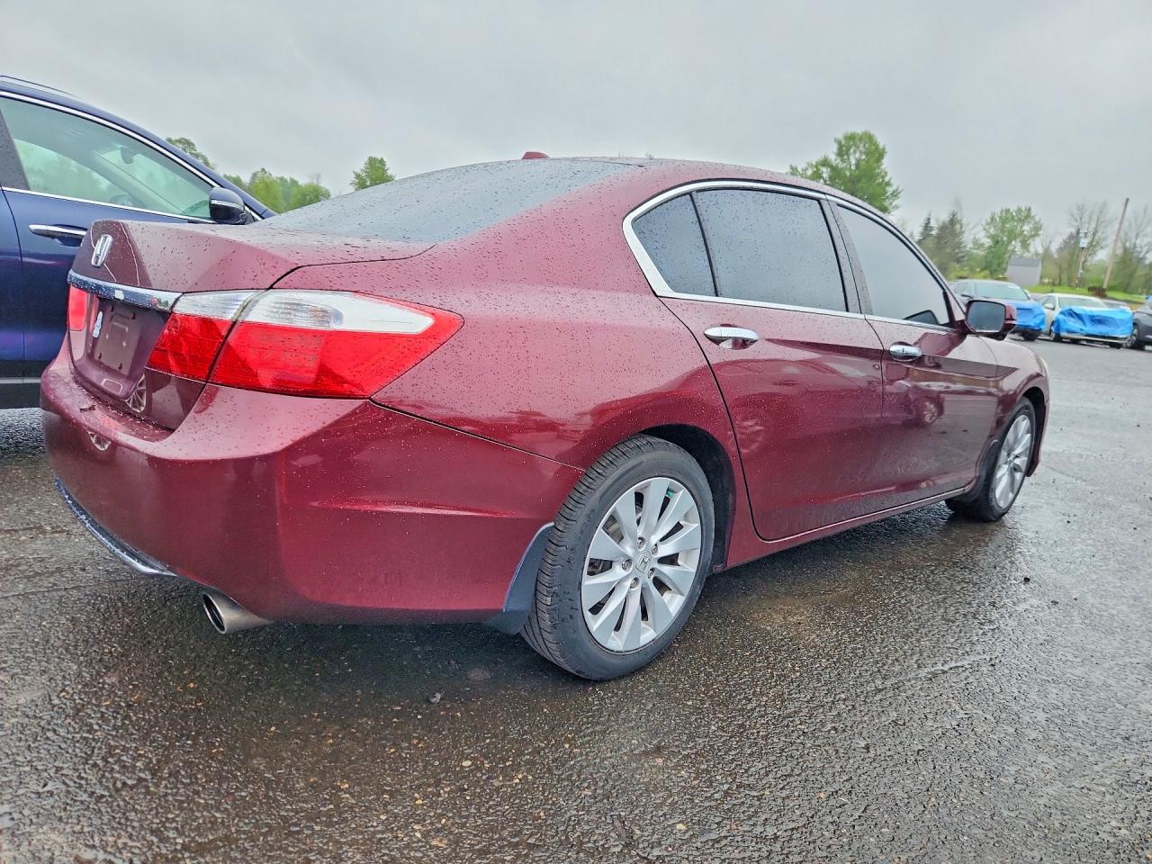2013 Honda Accord Exl Burgundy vin: 1HGCR2F80DA154821