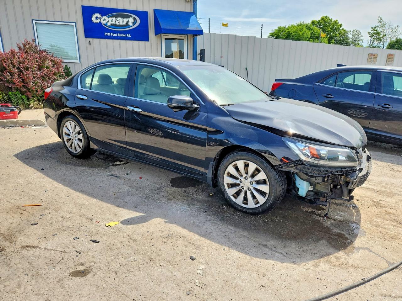 2013 Honda Accord Exl Black vin: 1HGCR2F80DA163664
