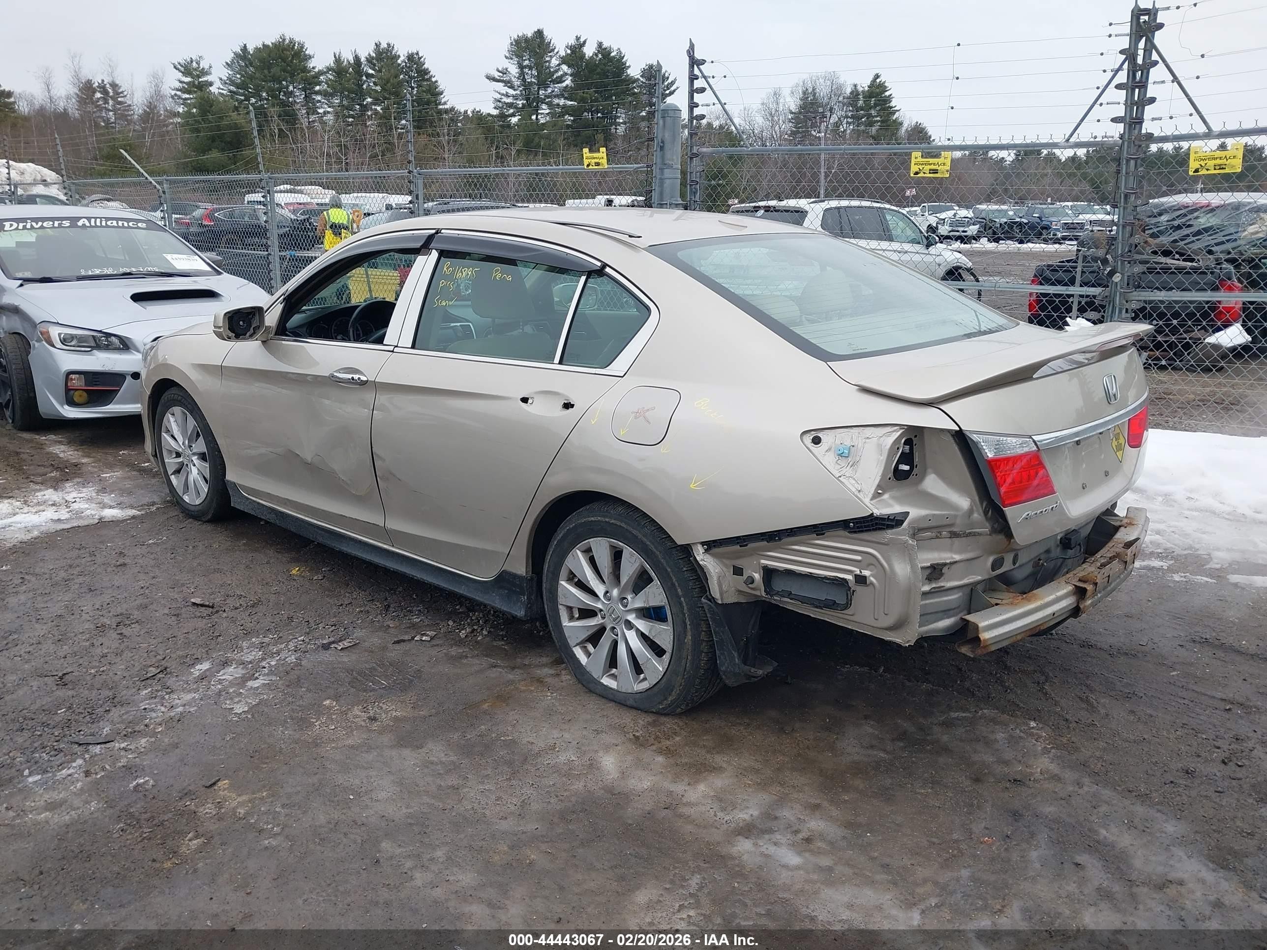 2013 Honda Accord Ex-l Золотой vin: 1HGCR2F80DA196972