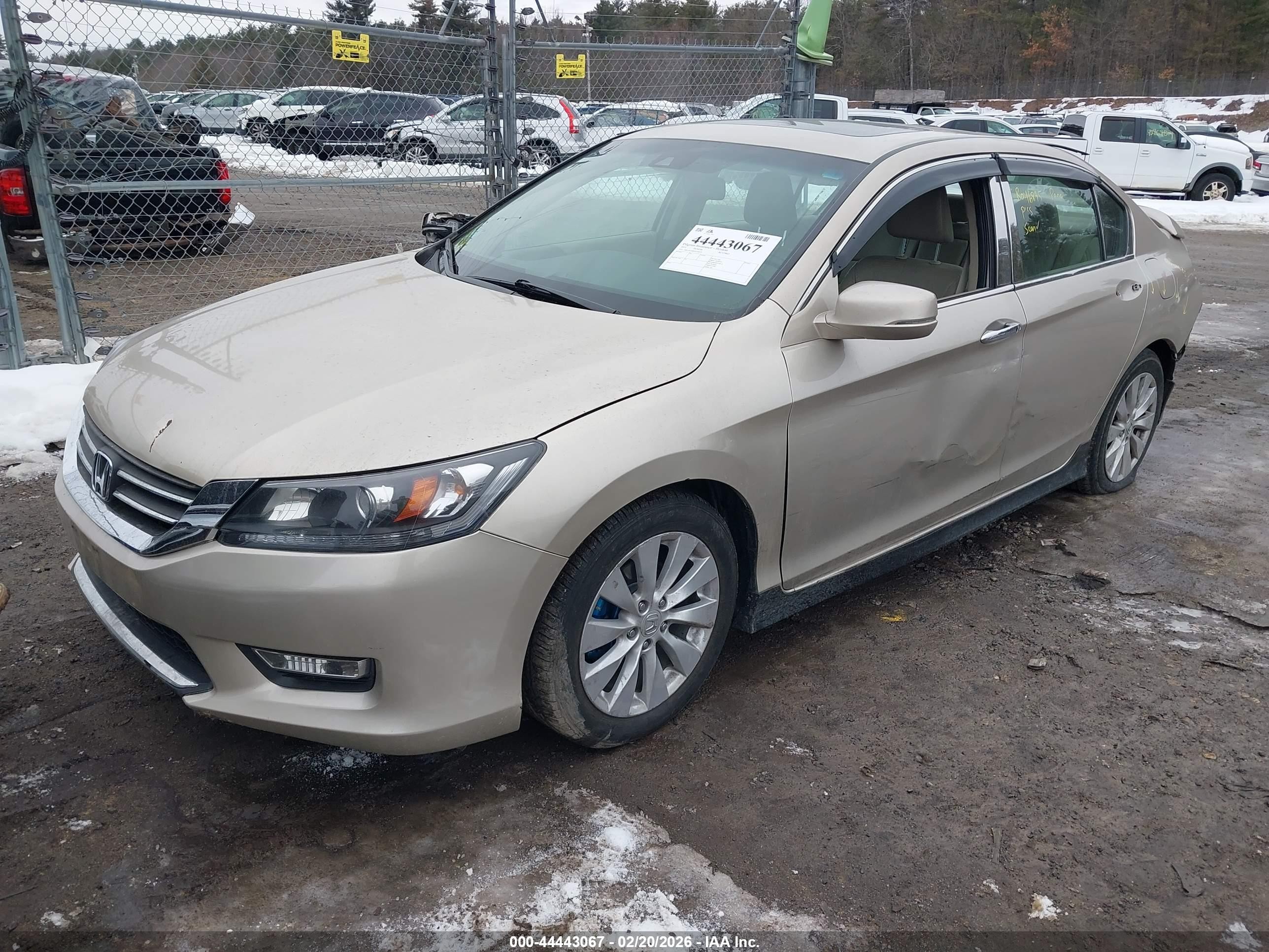 2013 Honda Accord Ex-l Золотой vin: 1HGCR2F80DA196972