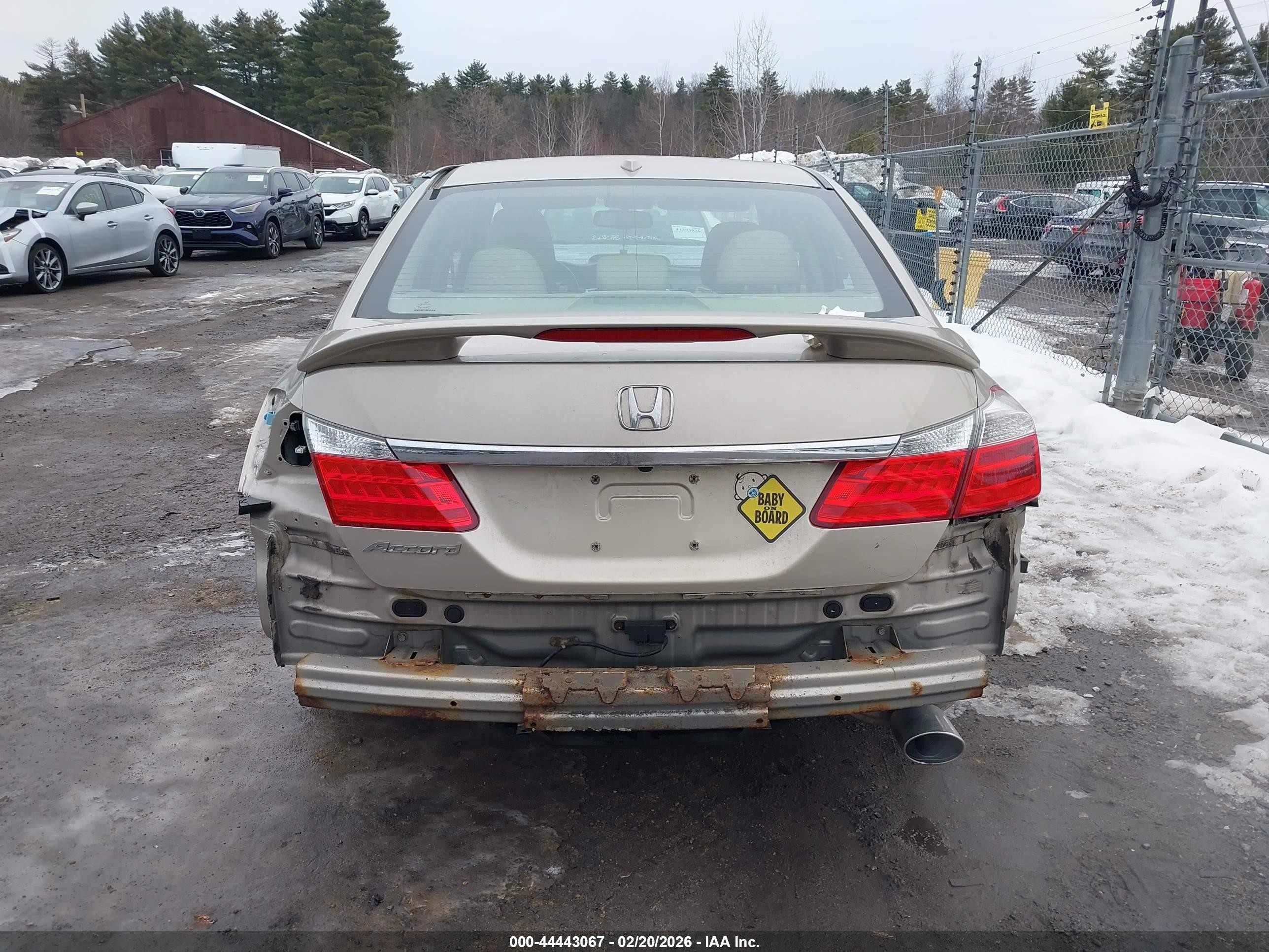 2013 Honda Accord Ex-l Золотой vin: 1HGCR2F80DA196972