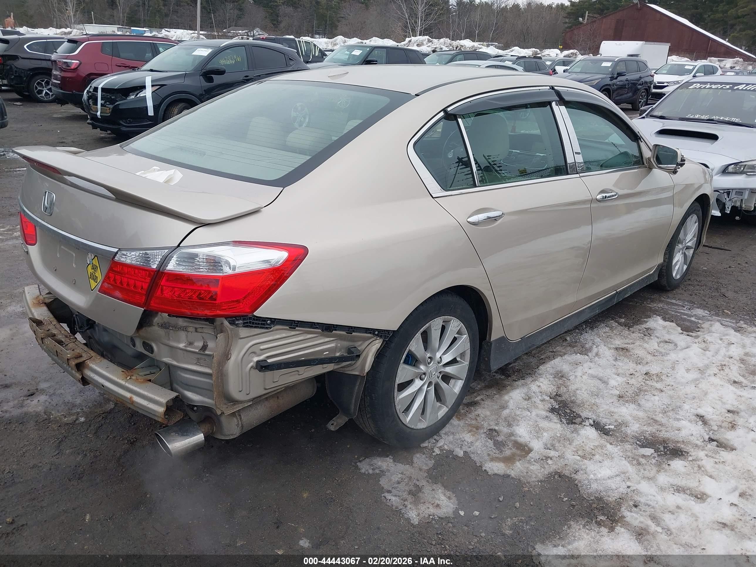2013 Honda Accord Ex-l Золотой vin: 1HGCR2F80DA196972