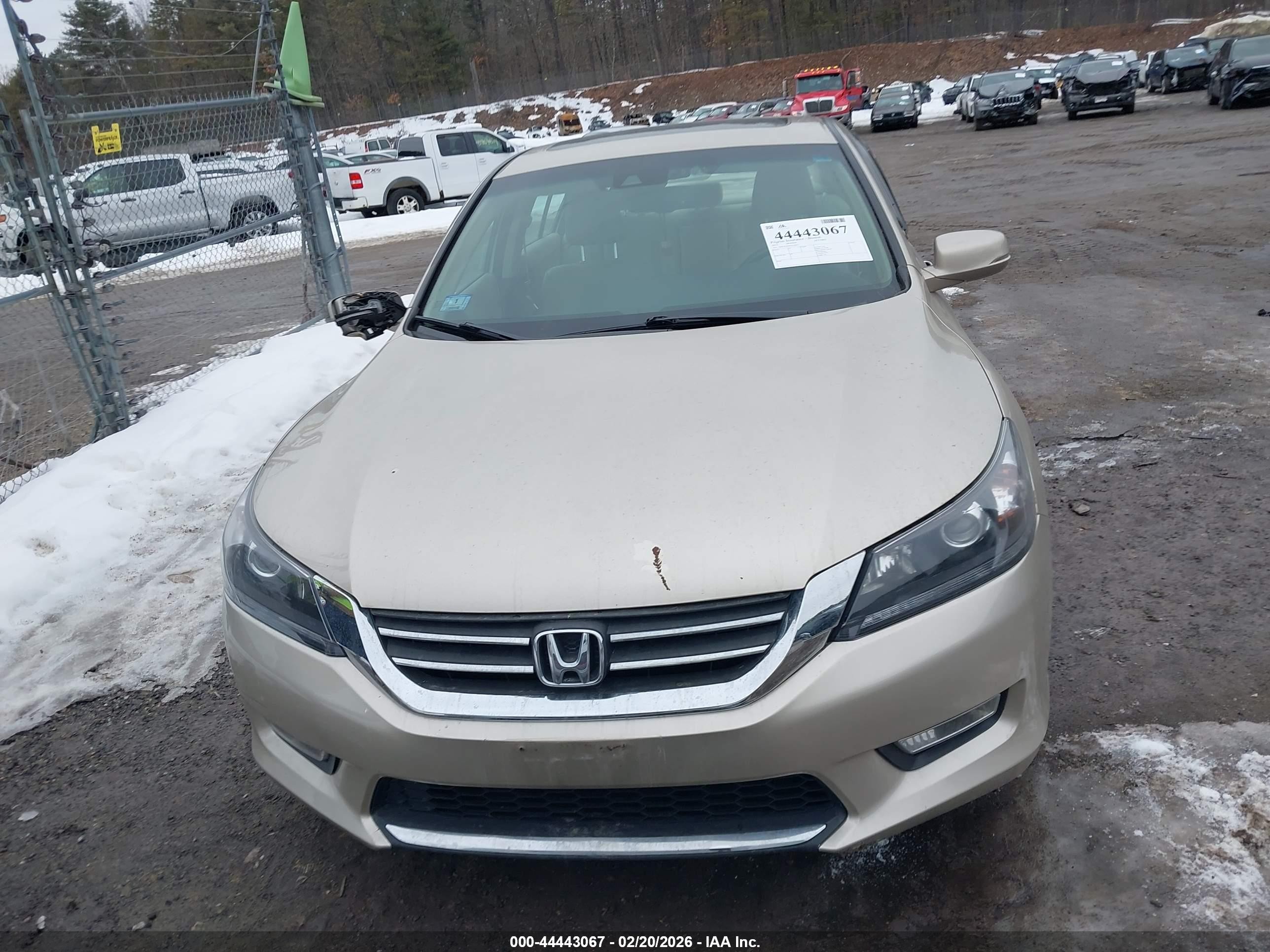 2013 Honda Accord Ex-l Золотой vin: 1HGCR2F80DA196972