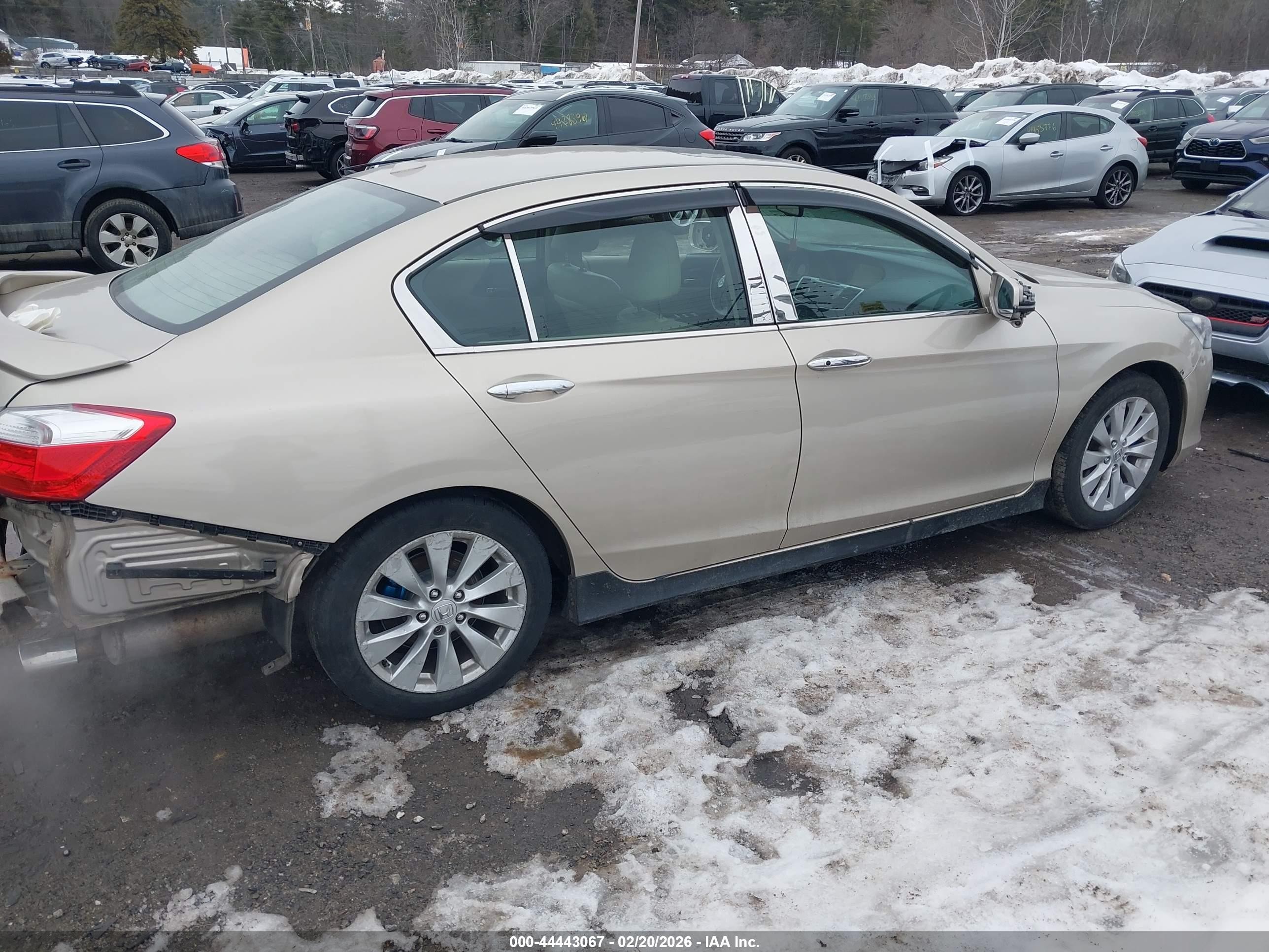 2013 Honda Accord Ex-l Золотой vin: 1HGCR2F80DA196972