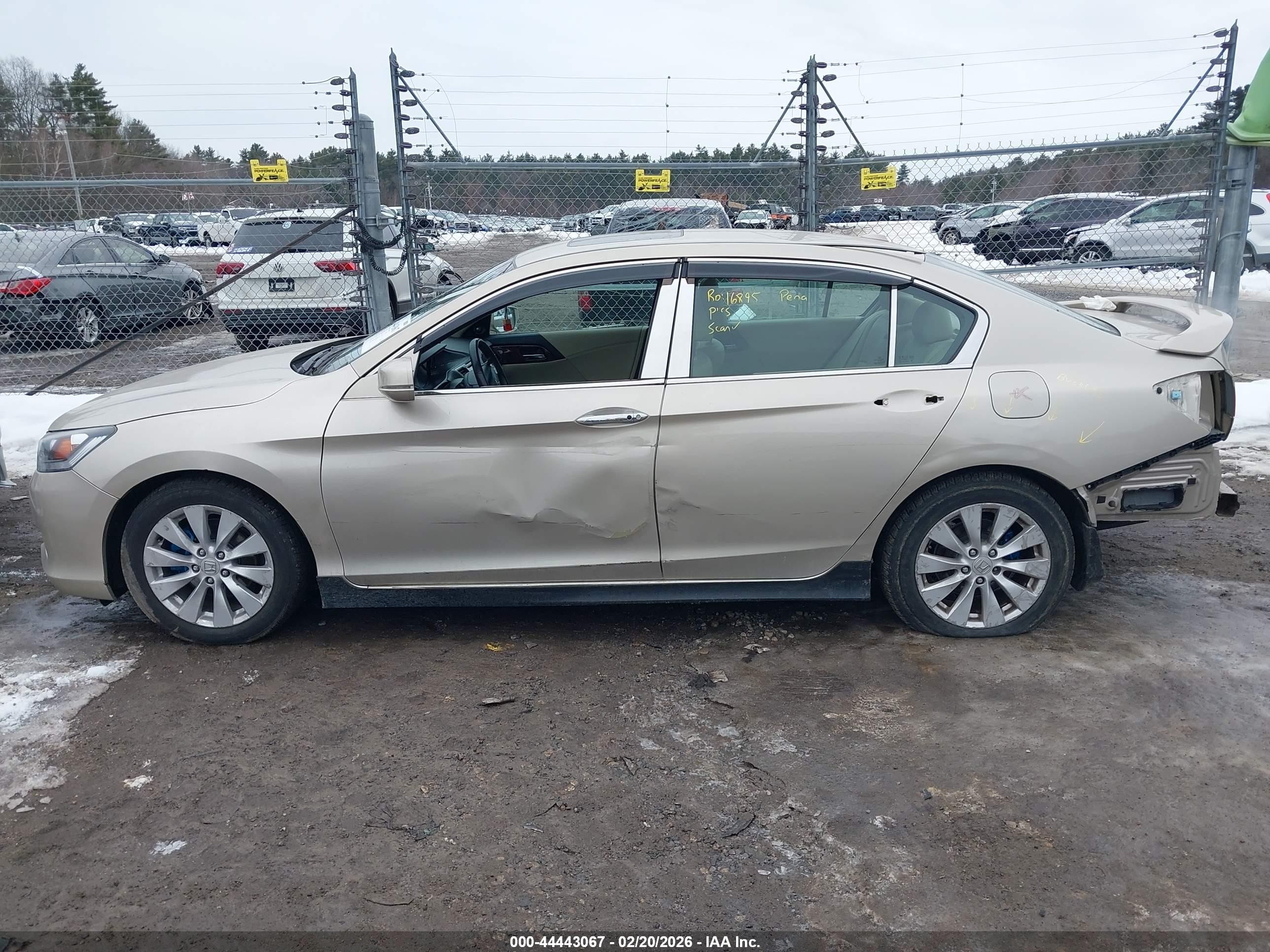 2013 Honda Accord Ex-l Золотой vin: 1HGCR2F80DA196972