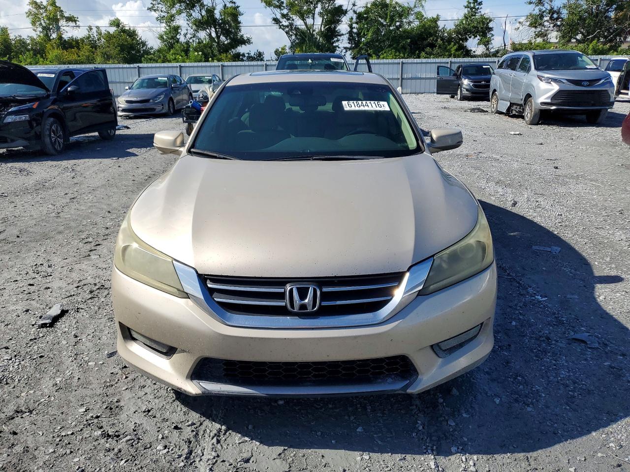 2014 Honda Accord Exl Tan vin: 1HGCR2F80EA071309