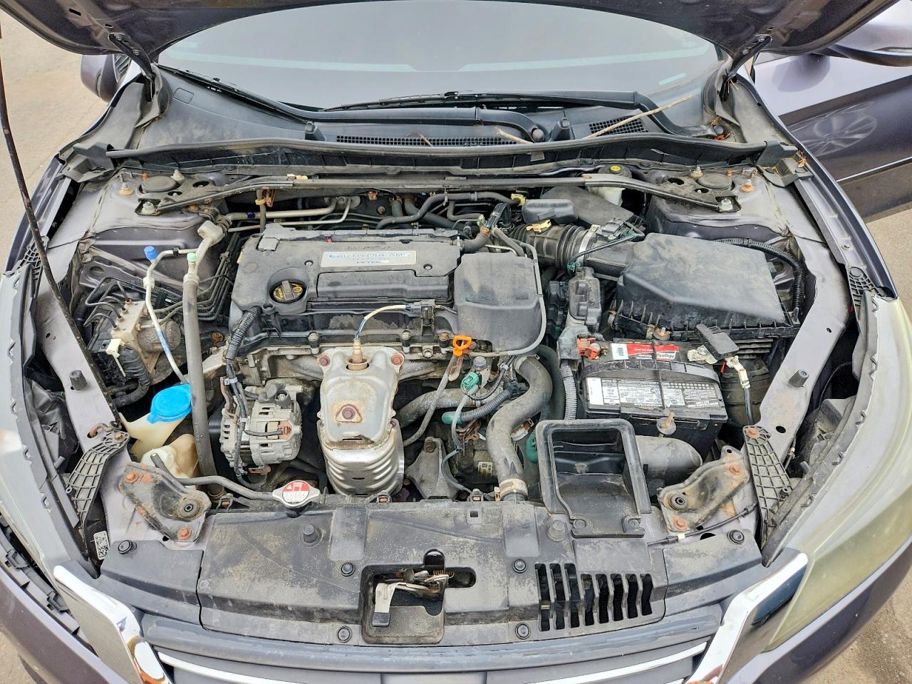 2014 Honda Accord Exl Gray vin: 1HGCR2F80EA189344