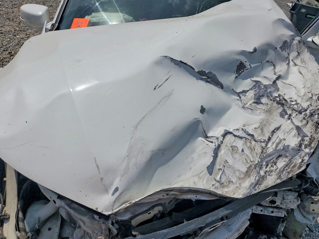 2015 Honda Accord Exl Белый vin: 1HGCR2F80FA020832