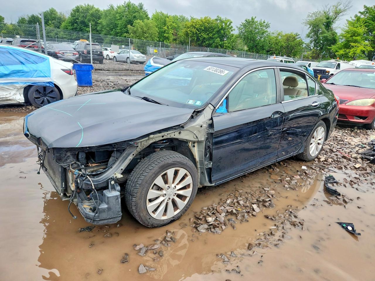 2015 Honda Accord Exl Черный vin: 1HGCR2F80FA235384