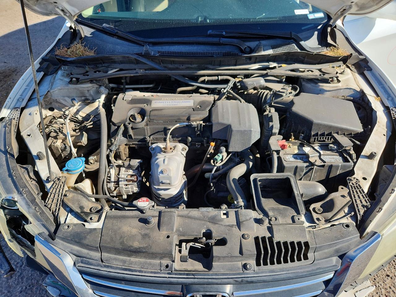 2013 Honda Accord Exl White vin: 1HGCR2F81DA018729