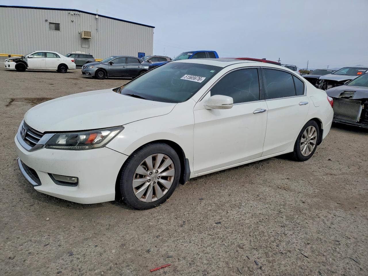 2013 Honda Accord Exl White vin: 1HGCR2F81DA089235