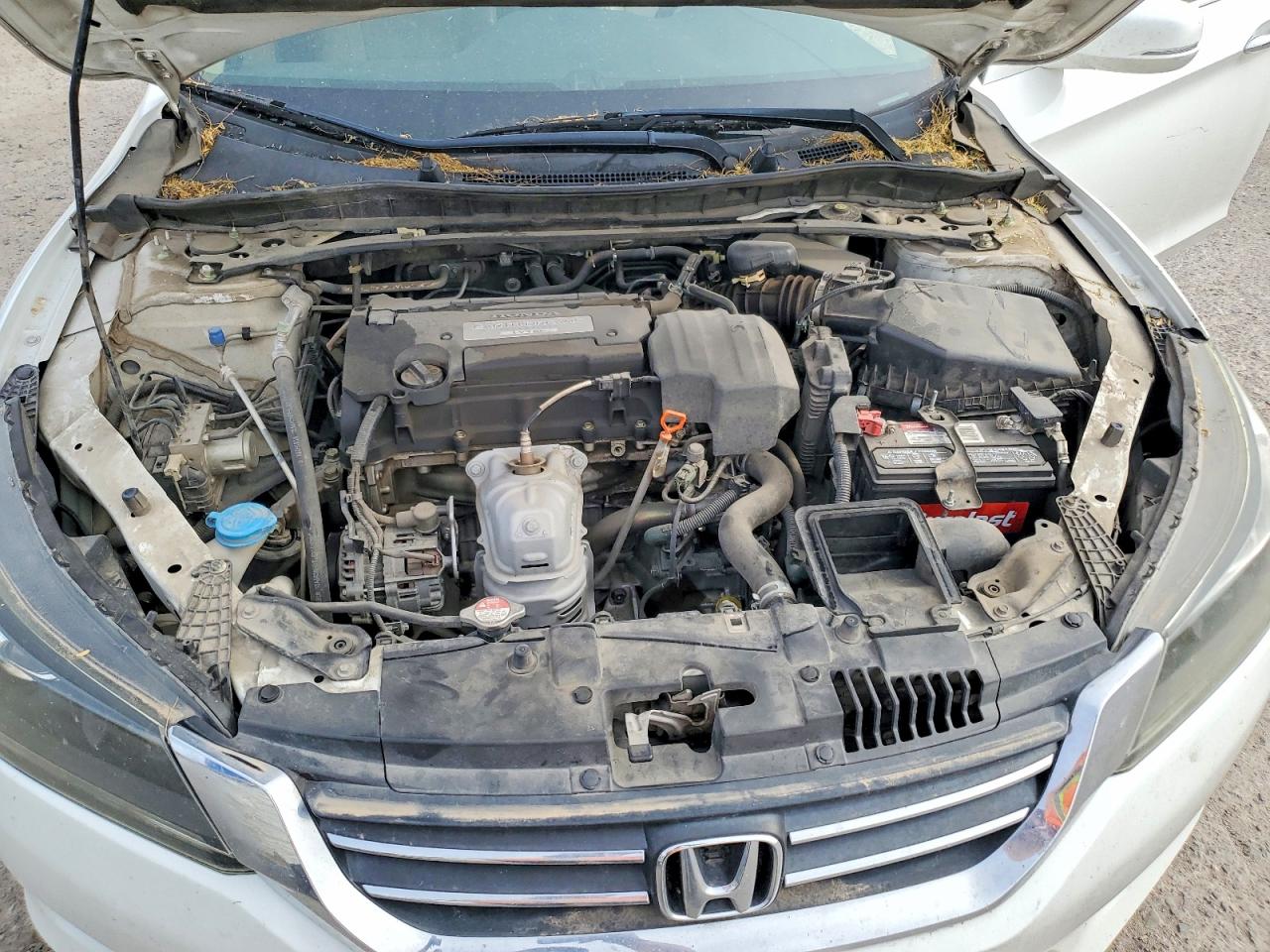 2013 Honda Accord Exl White vin: 1HGCR2F81DA089235