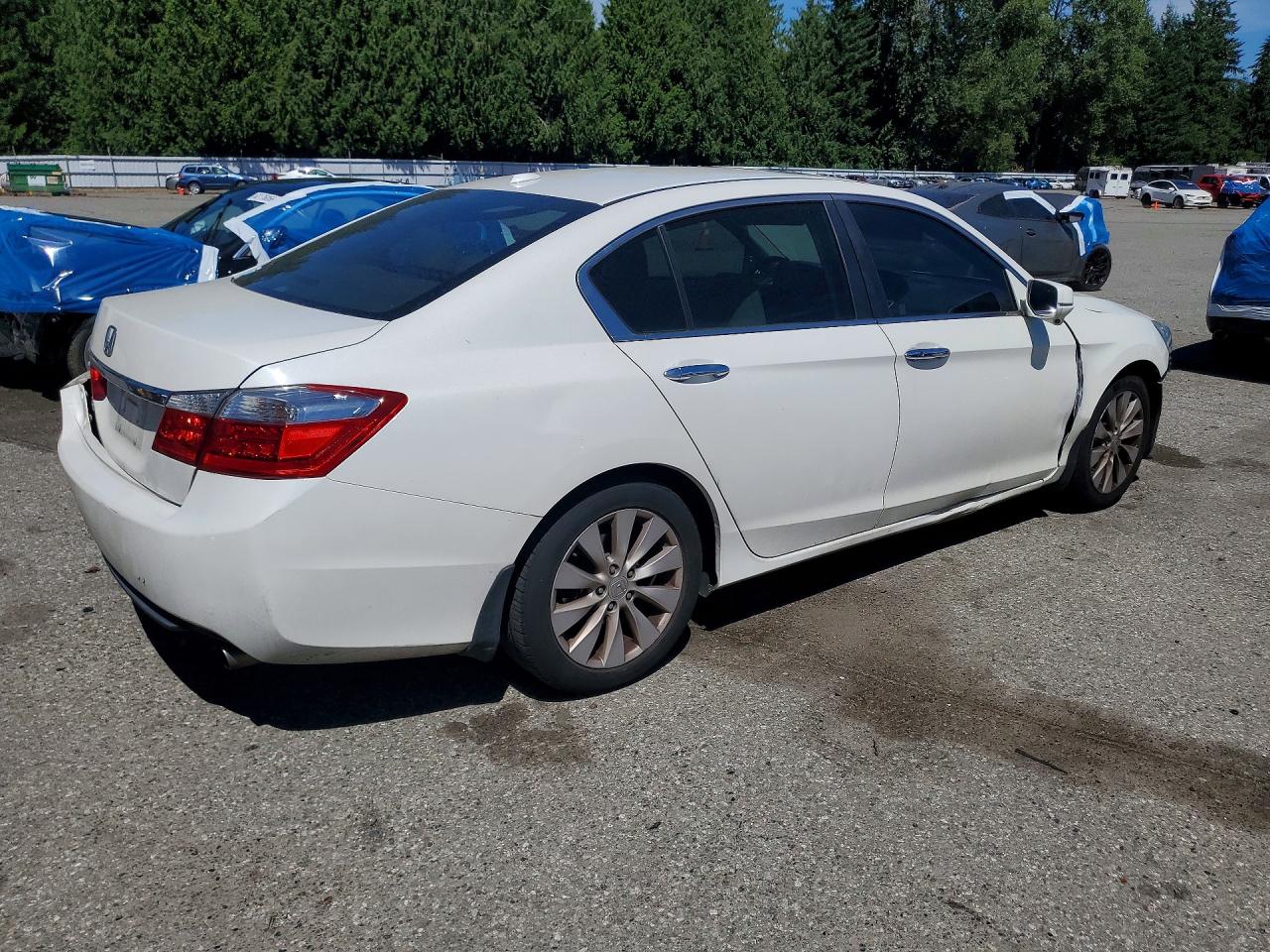 2013 Honda Accord Exl White vin: 1HGCR2F81DA091132