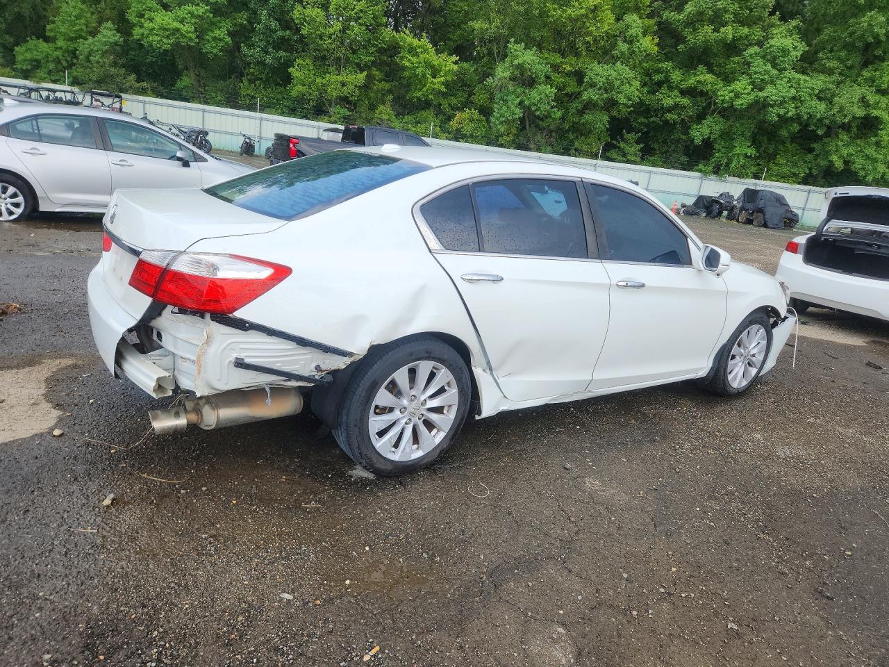 2013 Honda Accord Exl White vin: 1HGCR2F81DA154116
