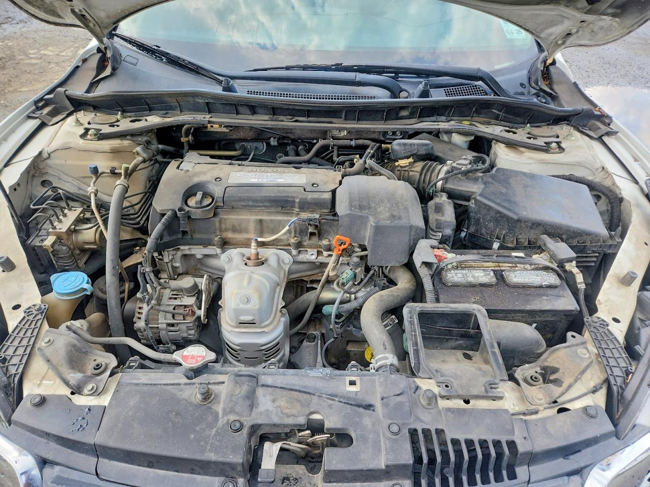 2013 Honda Accord Exl White vin: 1HGCR2F81DA154116