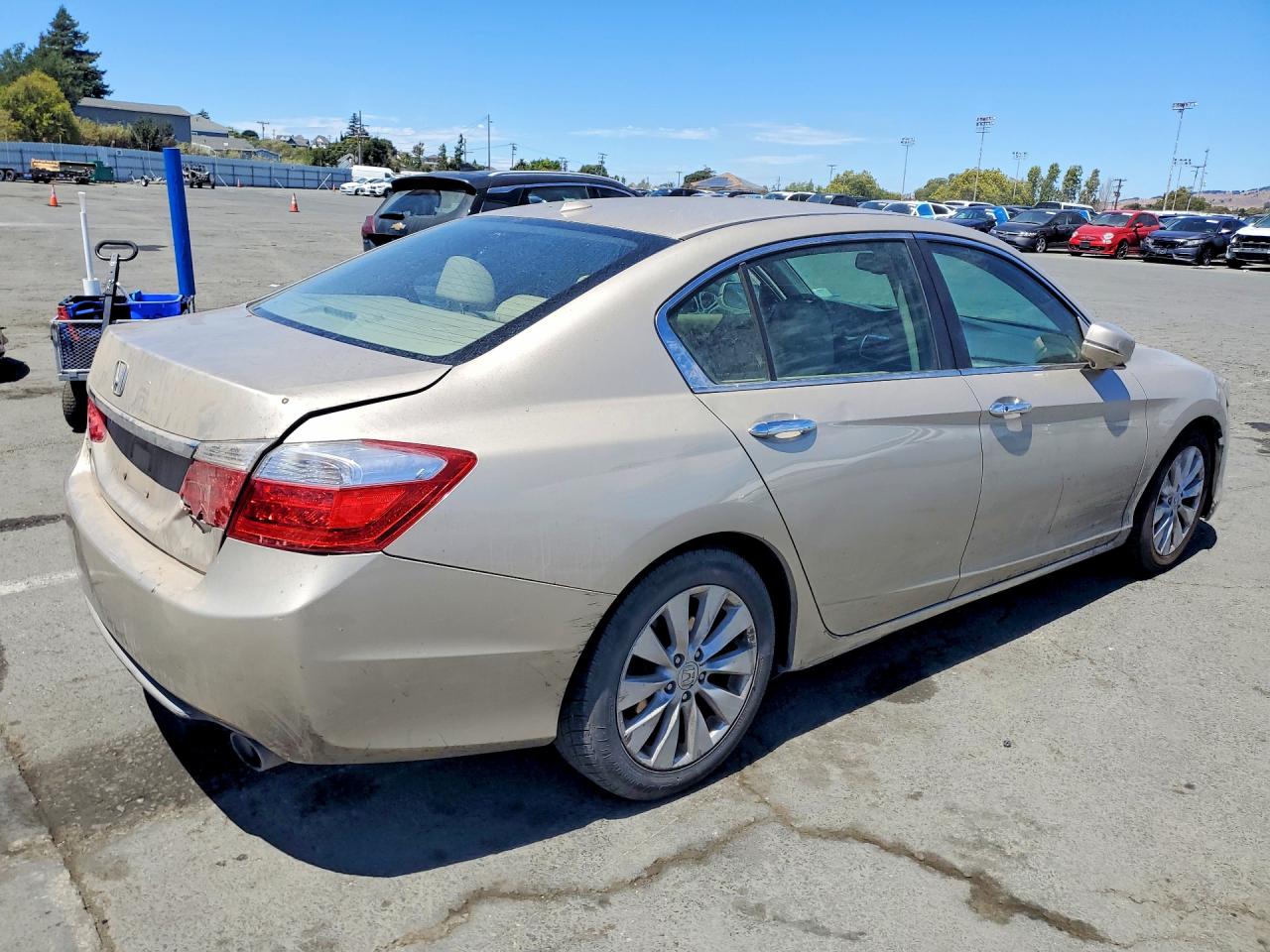 2013 Honda Accord Exl Tan vin: 1HGCR2F81DA173183
