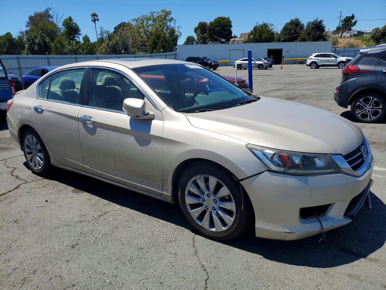 2013 Honda Accord Exl Tan vin: 1HGCR2F81DA173183
