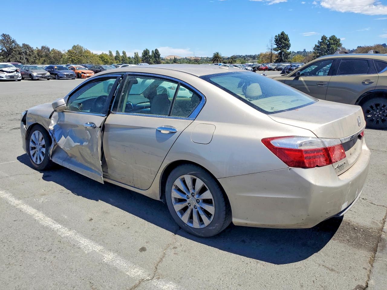 2013 Honda Accord Exl Tan vin: 1HGCR2F81DA173183
