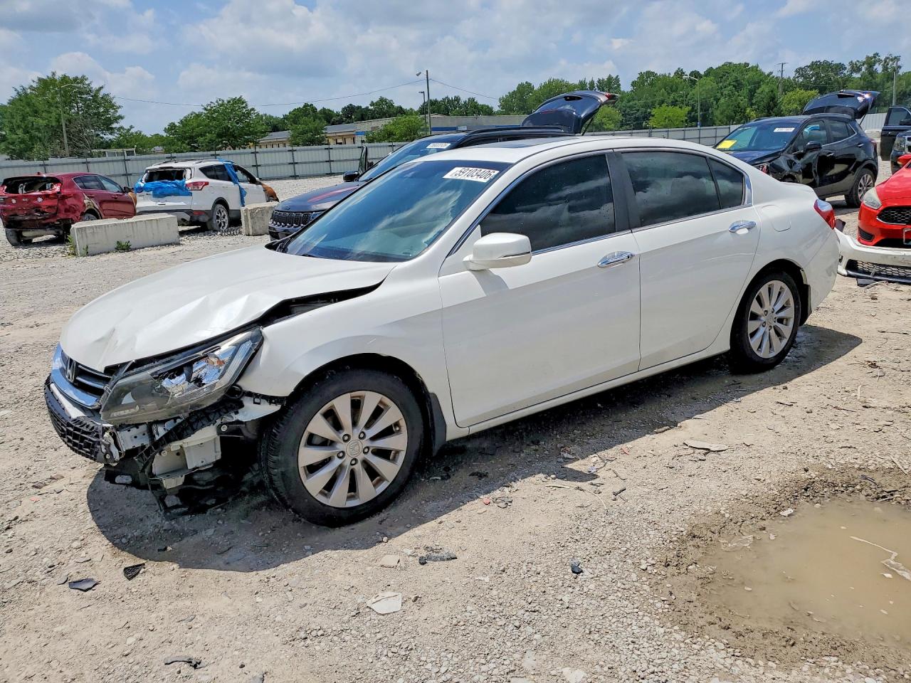 2013 Honda Accord Exl White vin: 1HGCR2F81DA195815
