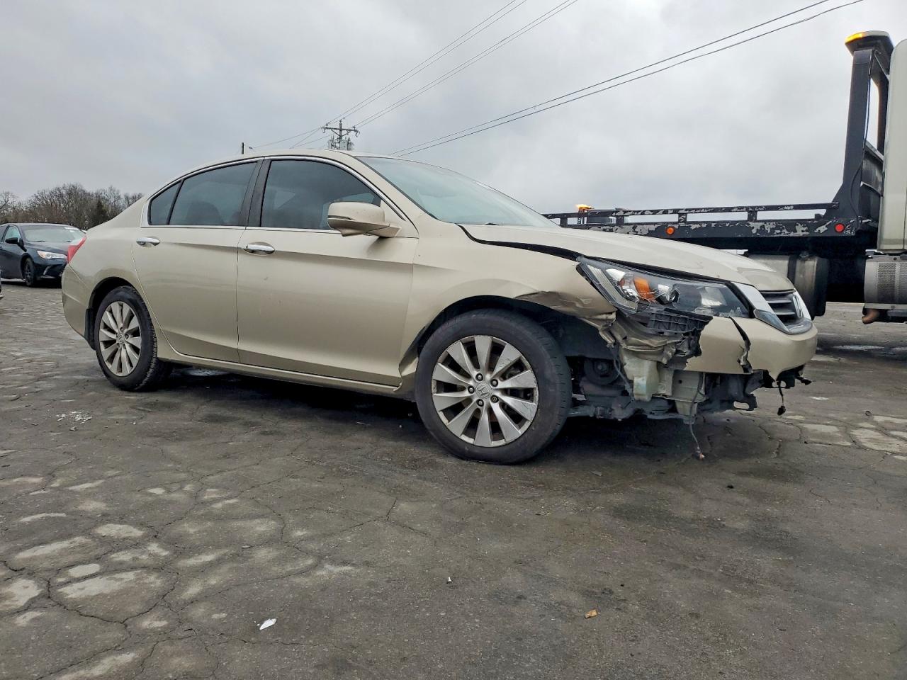 2013 Honda Accord Tan vin: 1HGCR2F81DA221829