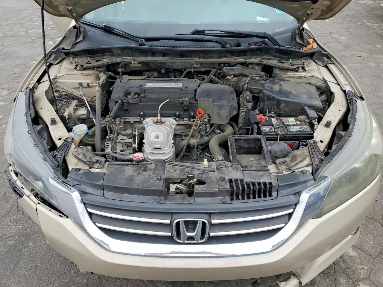 2013 Honda Accord Tan vin: 1HGCR2F81DA221829