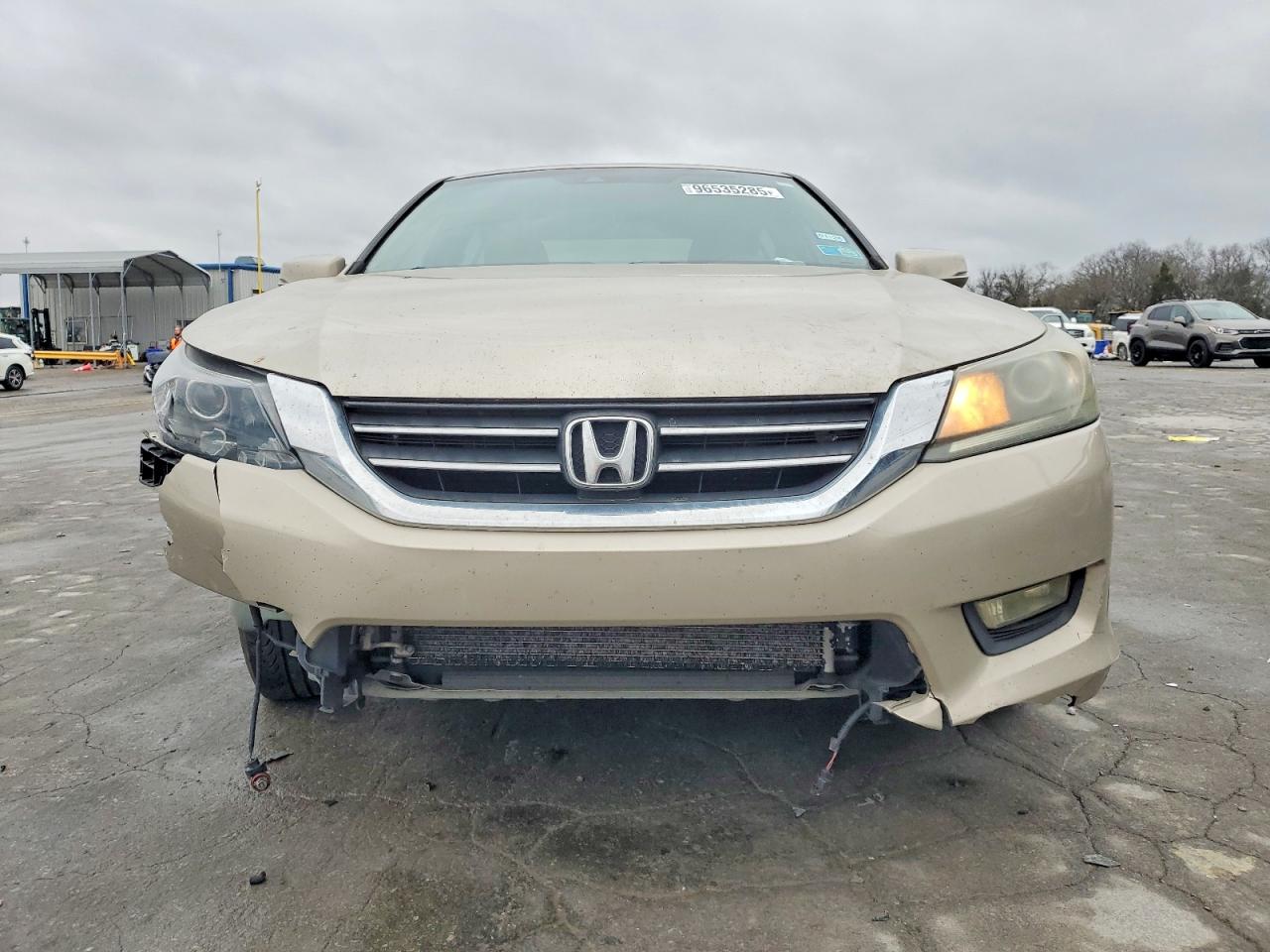 2013 Honda Accord Tan vin: 1HGCR2F81DA221829