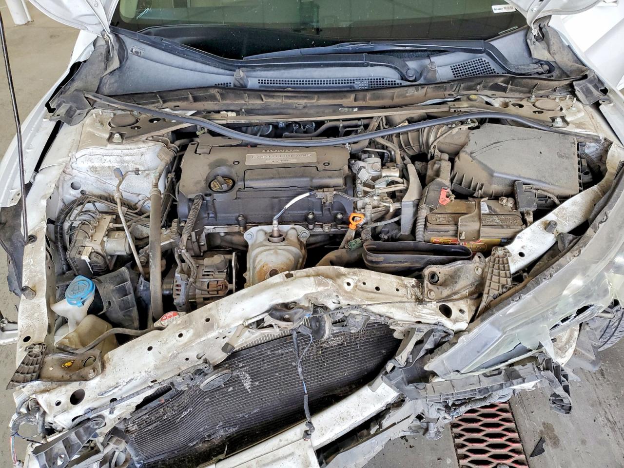 2013 Honda Accord Exl Белый vin: 1HGCR2F81DA236380