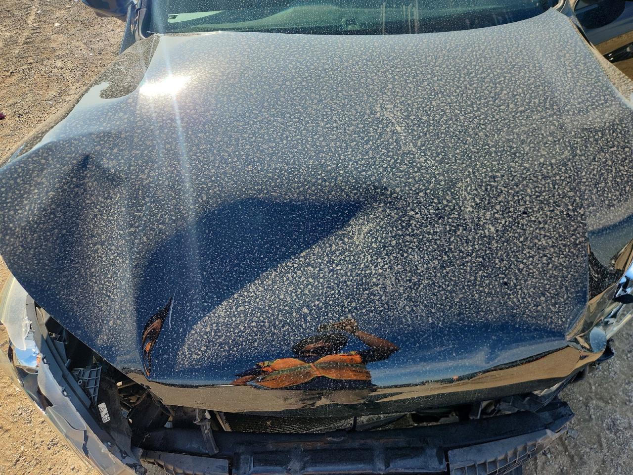 2013 Honda Accord Exl Black vin: 1HGCR2F81DA260209