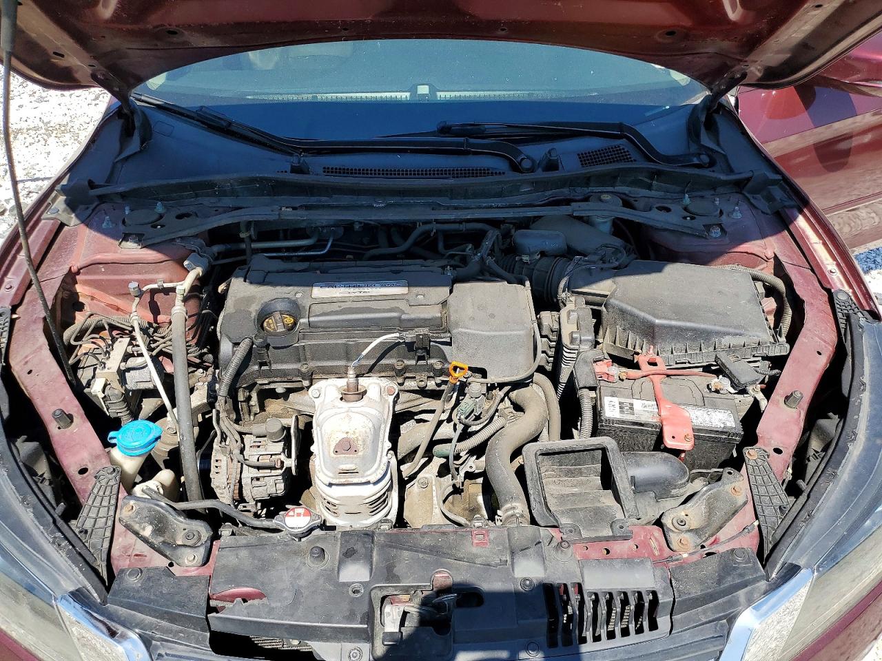 2014 Honda Accord Exl Burgundy vin: 1HGCR2F81EA133977