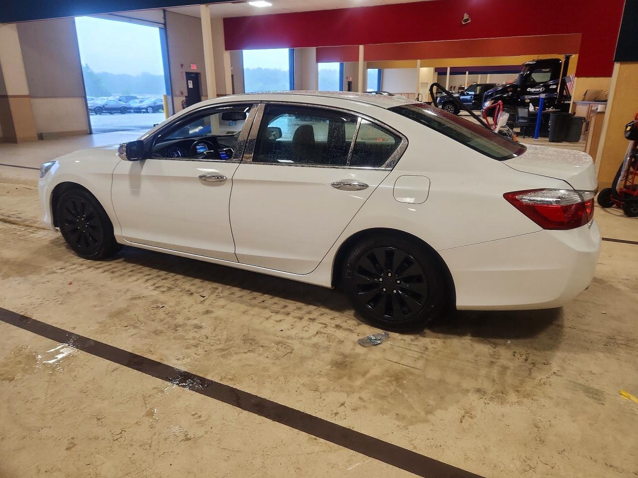 2014 Honda Accord Exl White vin: 1HGCR2F81EA307904