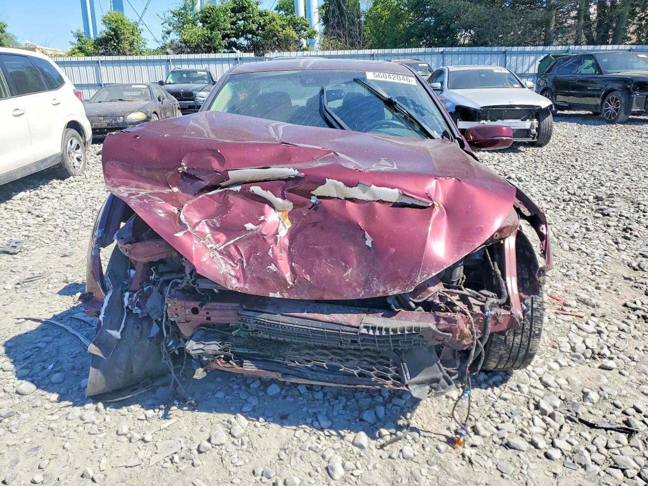 2015 Honda Accord Exl Burgundy vin: 1HGCR2F81FA016515
