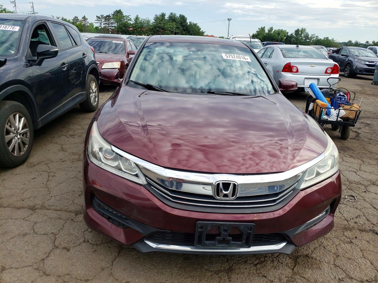 2013 Honda Accord Exl Maroon vin: 1HGCR2F82DA020473