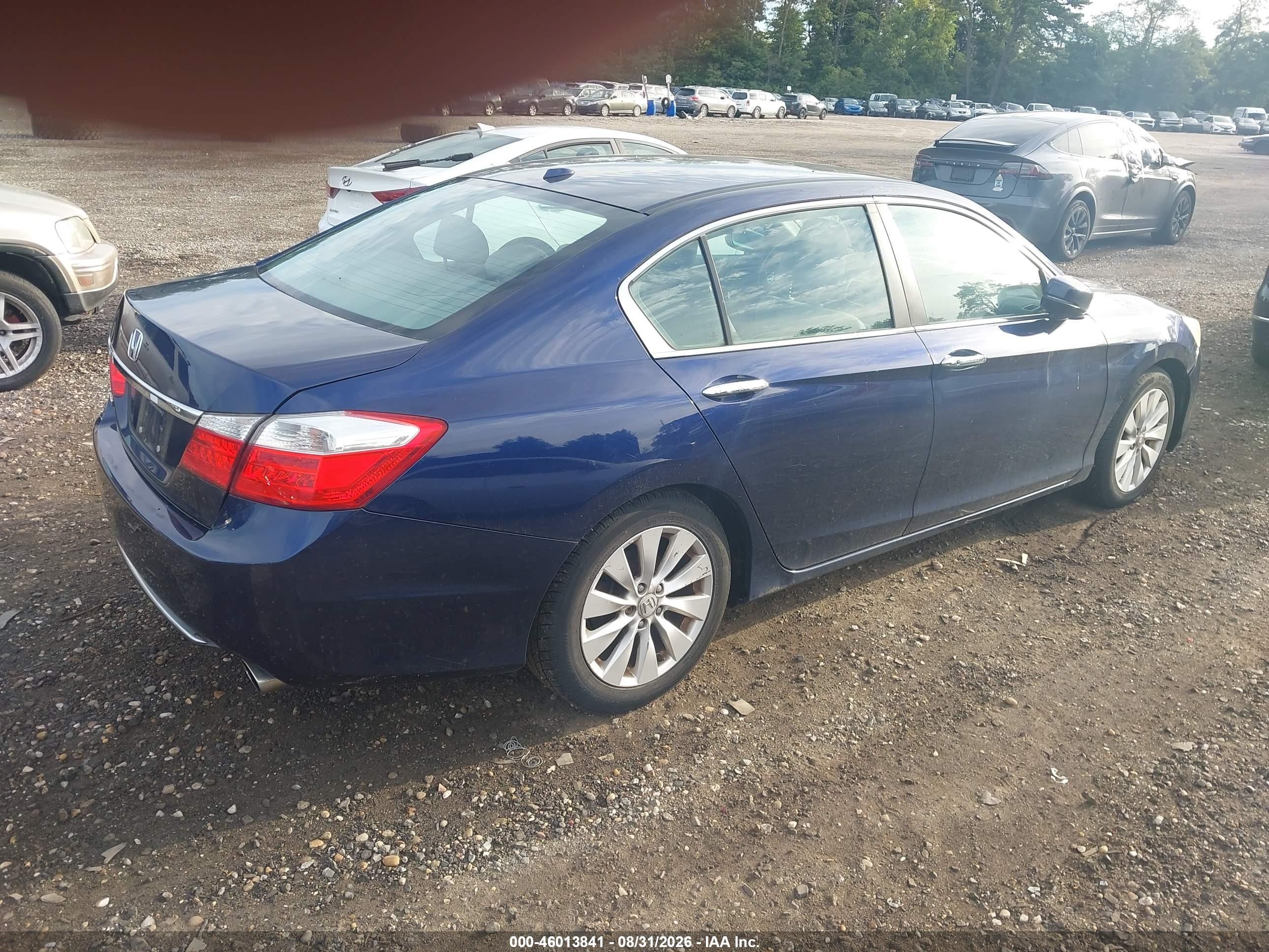 2013 Honda Accord Ex-l Blue vin: 1HGCR2F82DA045518
