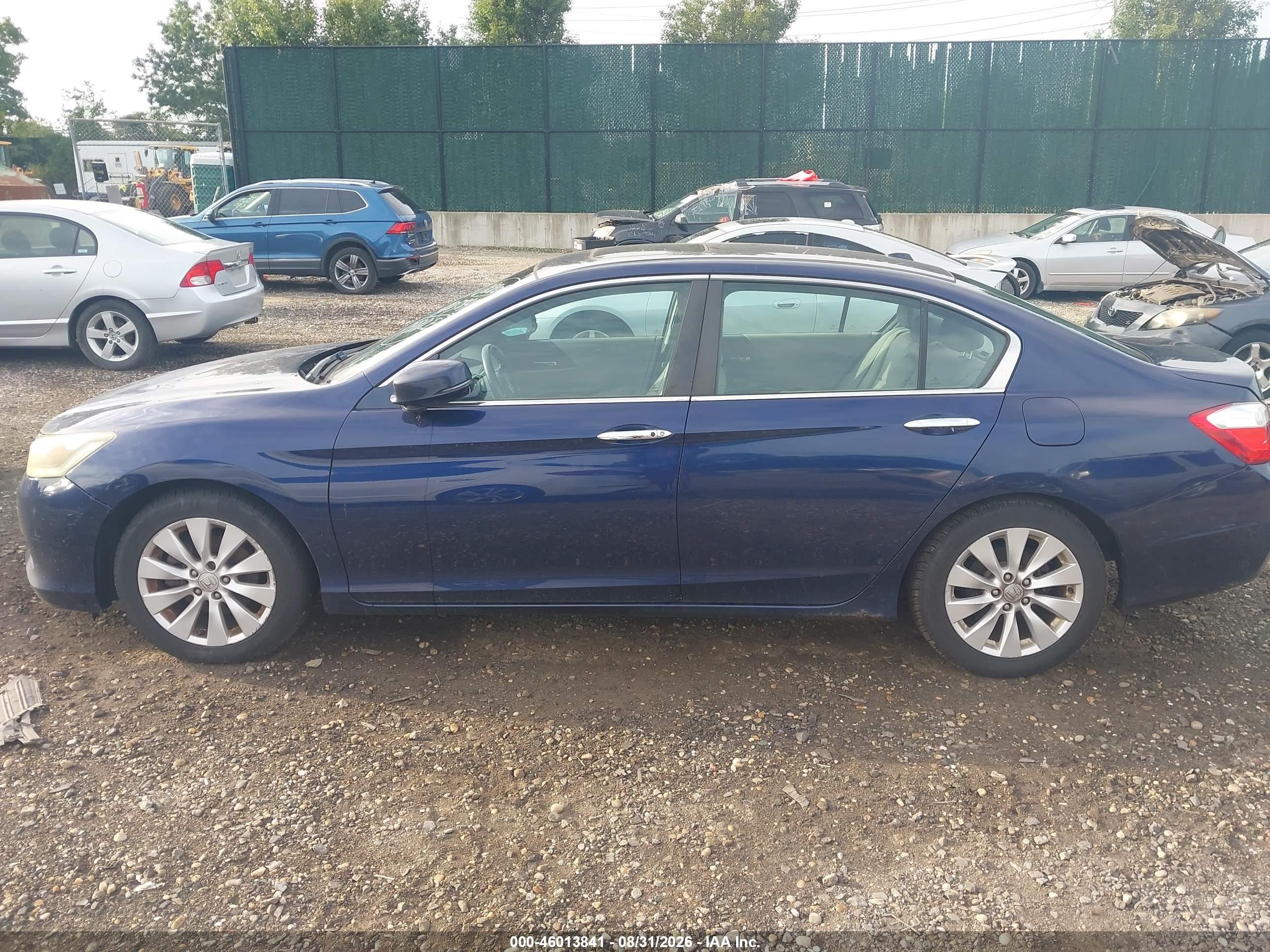 2013 Honda Accord Ex-l Blue vin: 1HGCR2F82DA045518