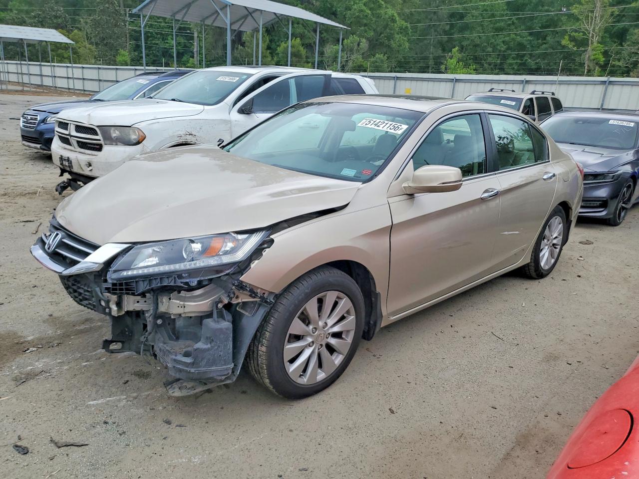 2013 Honda Accord Exl Кремовый vin: 1HGCR2F82DA132724