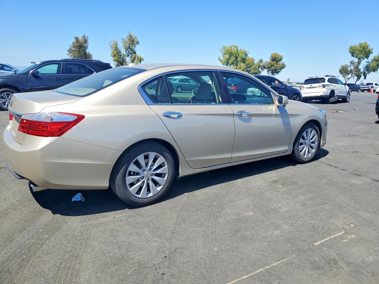 2013 Honda Accord Exl Beige vin: 1HGCR2F82DA176660