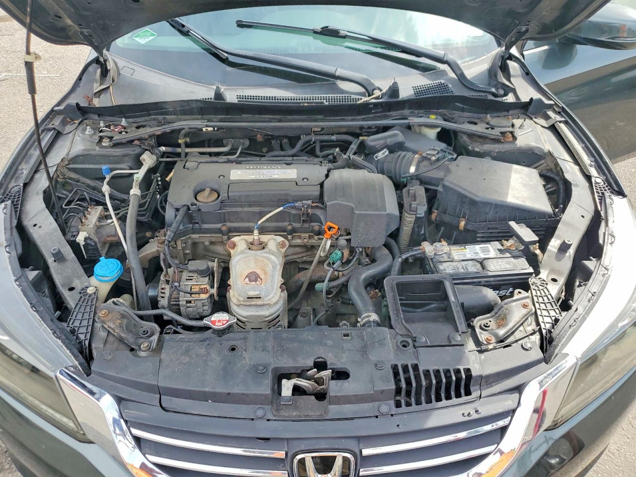 2013 Honda Accord Exl Green vin: 1HGCR2F82DA189991