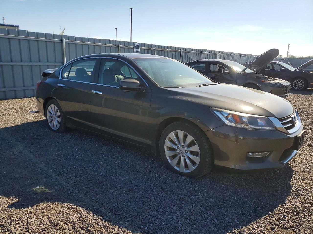 2013 Honda Accord Exl Gray vin: 1HGCR2F82DA804409