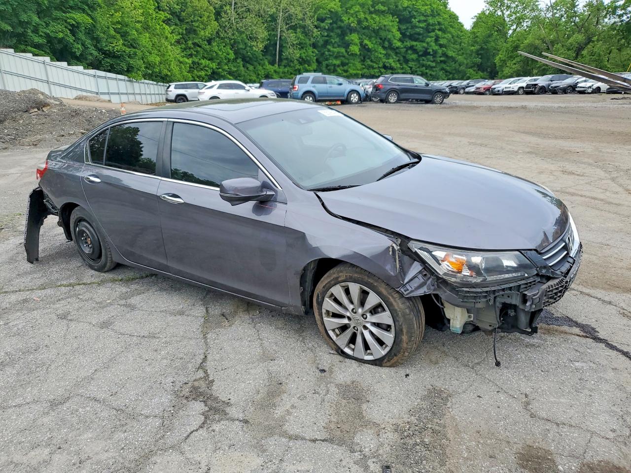 2014 Honda Accord Exl Gray vin: 1HGCR2F82EA017459