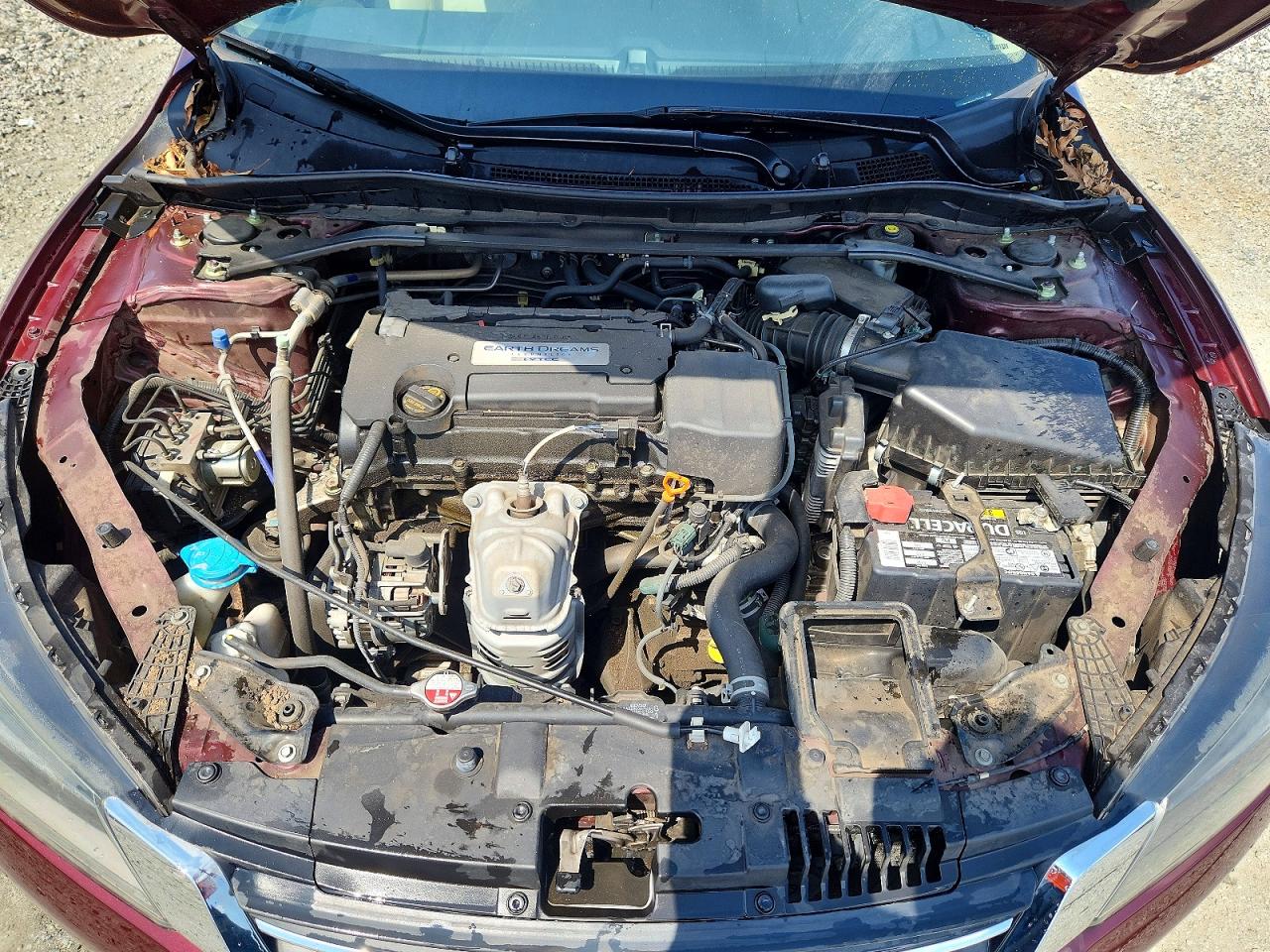 2014 Honda Accord Exl Burgundy vin: 1HGCR2F82EA101913