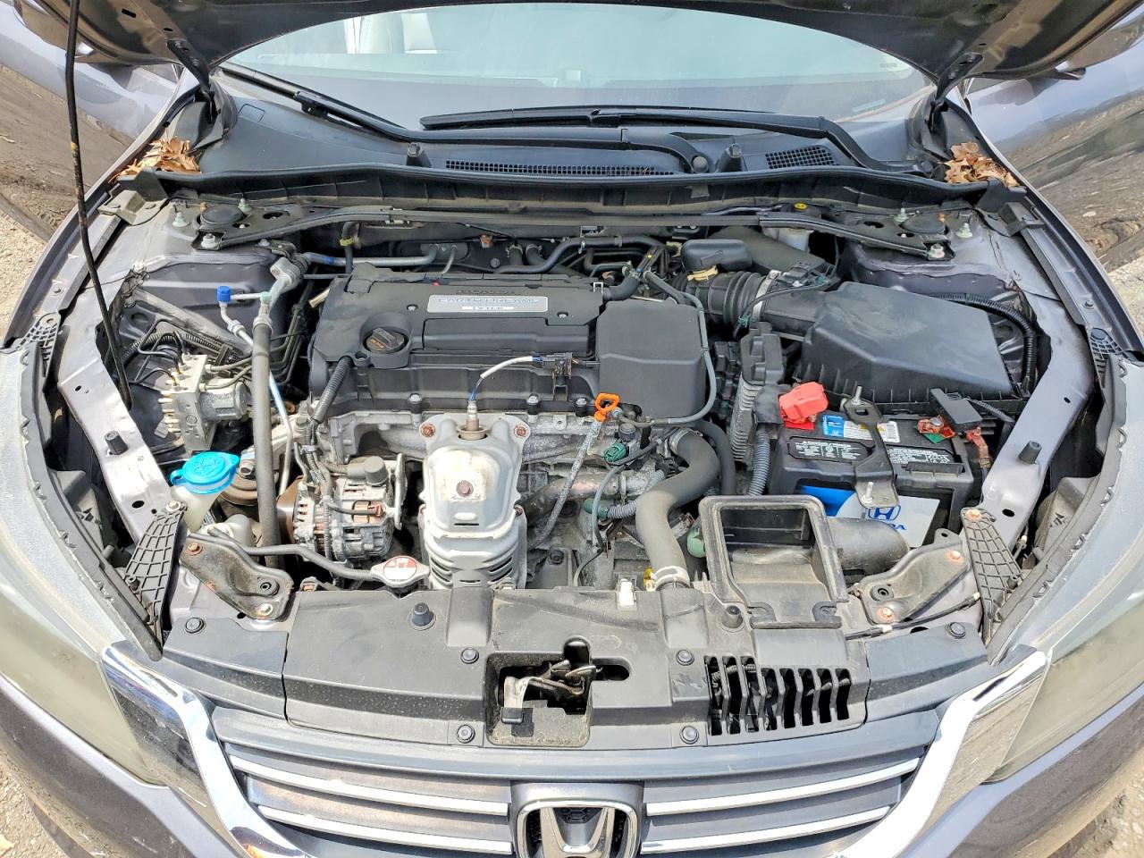 2014 Honda Accord Exl Gray vin: 1HGCR2F82EA305630