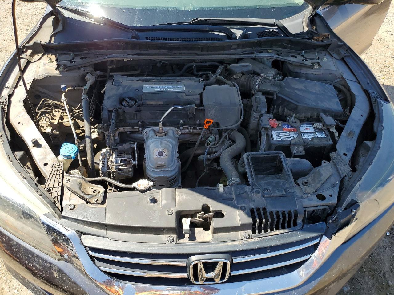2014 Honda Accord Exl Gray vin: 1HGCR2F82EA305675