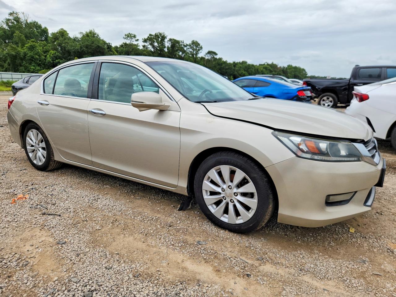 2015 Honda Accord Exl Желто-коричневый vin: 1HGCR2F82FA078604