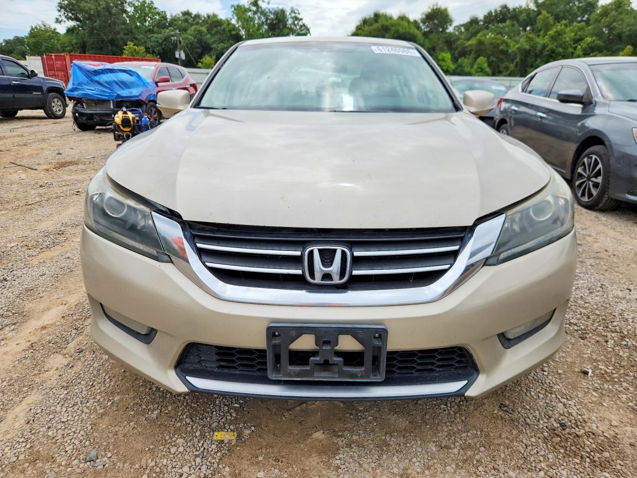 2015 Honda Accord Exl Желто-коричневый vin: 1HGCR2F82FA078604