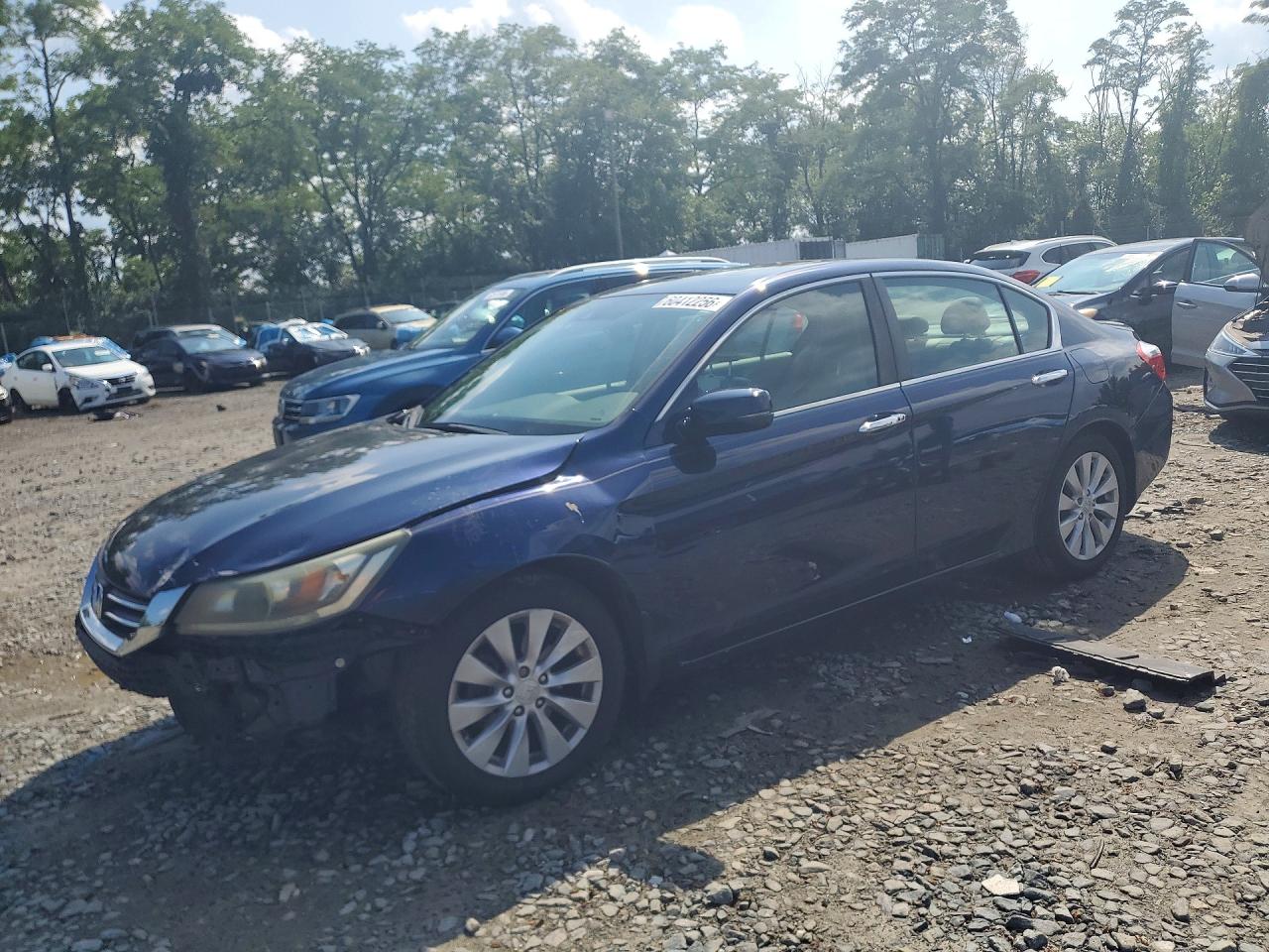 2015 Honda Accord Exl Синий vin: 1HGCR2F82FA149803