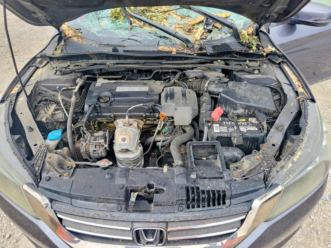 2013 Honda Accord Exl Gray vin: 1HGCR2F83DA094839